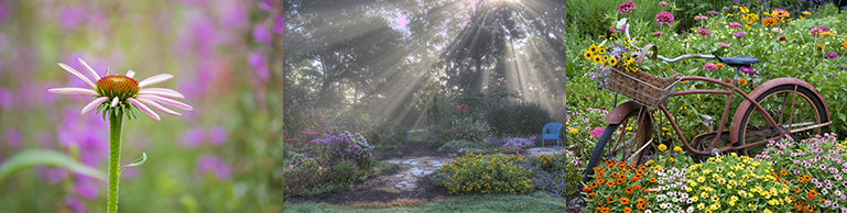 Flower Gardens
